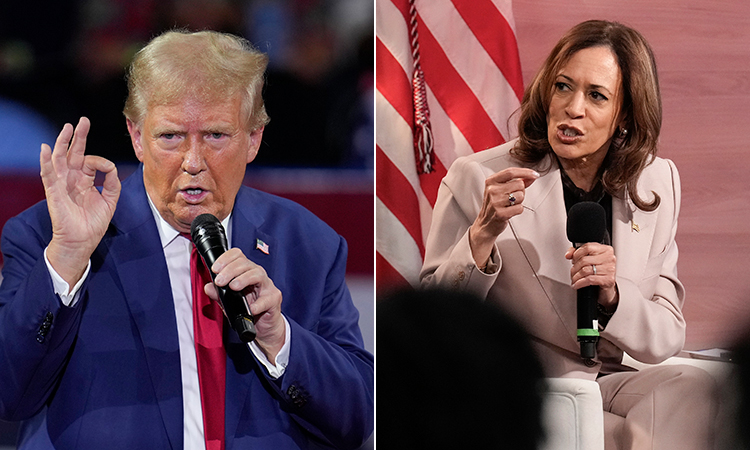 photo of trump and harris